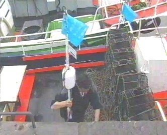 PESCA 20  GANADO